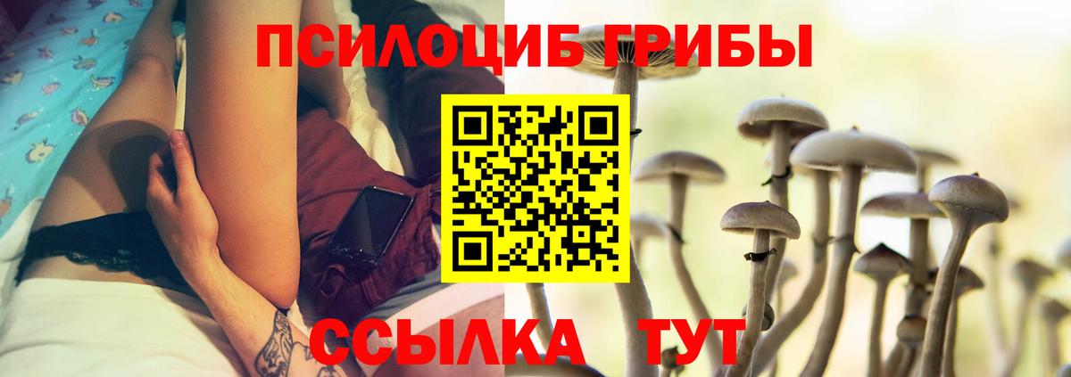 Томск  Псилоцибиновые грибы Cubensis  Вход с VPN  Псилоцибиновые грибы Magic Shrooms 