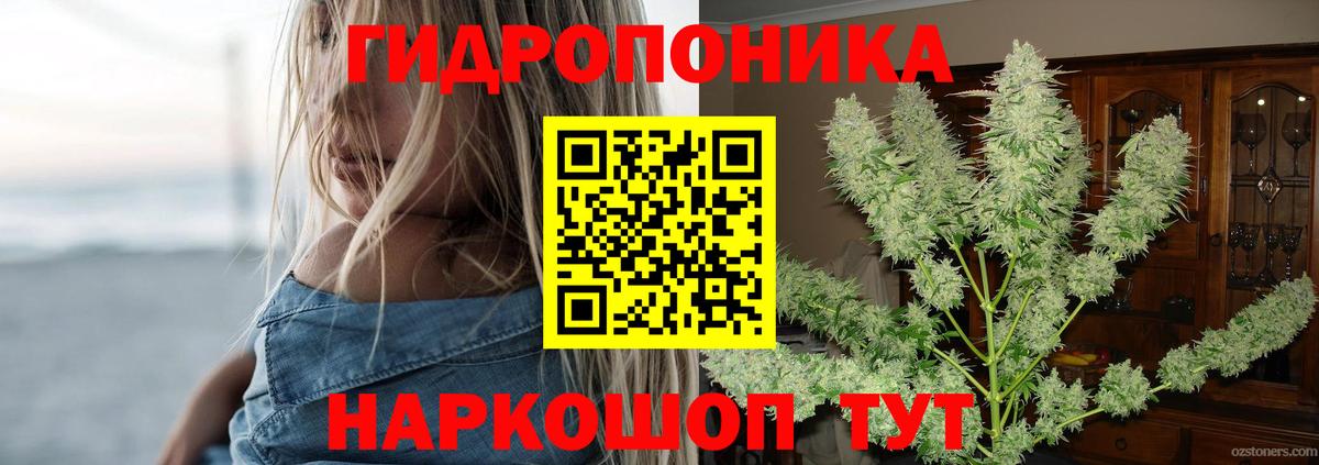 Шишки марихуана AK-47  Шишки марихуана конопля  Марихуана AK-47  Томск  Вход с VPN 